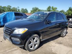 Salvage cars for sale at Baltimore, MD auction: 2015 Mercedes-Benz ML 350 4matic