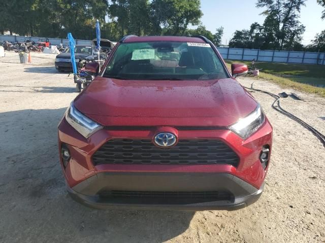 2023 Toyota Rav4 XLE Premium