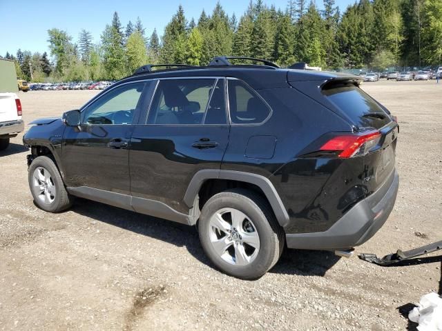 2020 Toyota Rav4 XLE