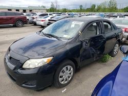 Salvage cars for sale from Copart Angola, NY: 2010 Toyota Corolla Base