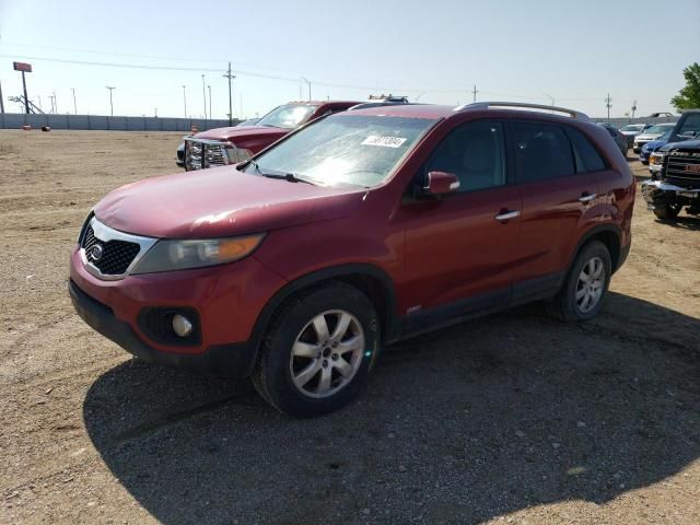 2011 KIA Sorento Base