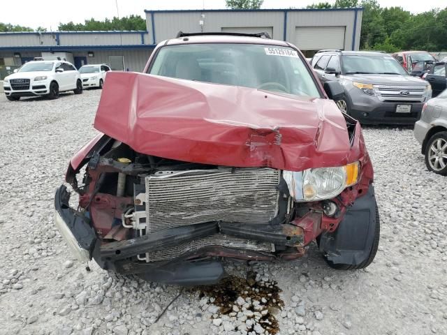 2008 Ford Escape XLT