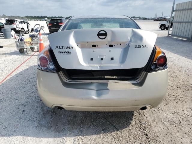 2010 Nissan Altima Base