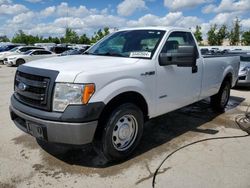 Salvage cars for sale at Bridgeton, MO auction: 2014 Ford F150