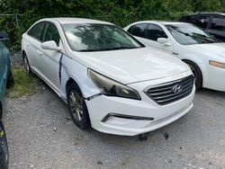 Salvage cars for sale at Lebanon, TN auction: 2016 Hyundai Sonata ECO