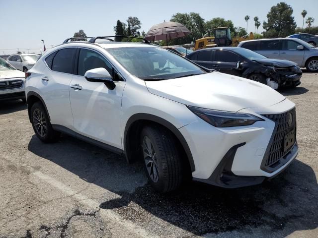 2024 Lexus NX 350H Base