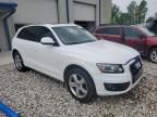 2010 Audi Q5 Premium Plus