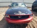 2005 Ford Mustang