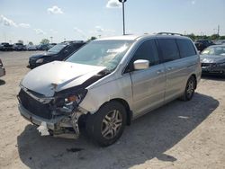 Salvage cars for sale at Indianapolis, IN auction: 2005 Honda Odyssey EX