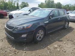 Salvage cars for sale at Baltimore, MD auction: 2016 KIA Optima Hybrid