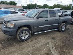 Salvage cars for sale from Copart Columbus, OH: 2008 Dodge Dakota SXT