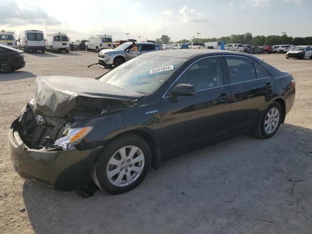 2009 Toyota Camry Hybrid