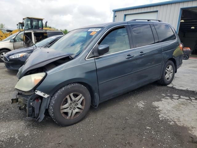 2006 Honda Odyssey EXL