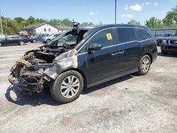Salvage cars for sale at York Haven, PA auction: 2014 Honda Odyssey EXL