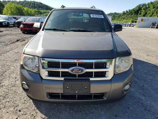 2009 Ford Escape XLT