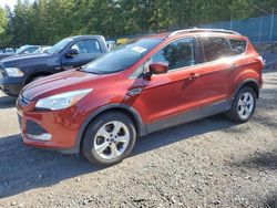 Salvage cars for sale from Copart Graham, WA: 2016 Ford Escape SE