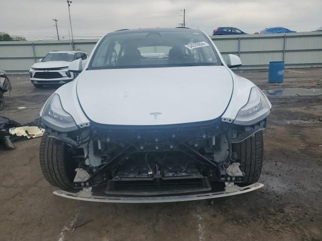 2020 Tesla Model Y