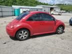 2006 Volkswagen New Beetle TDI Option Package 1