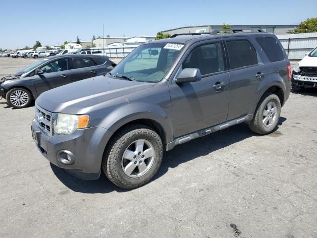 2010 Ford Escape XLT