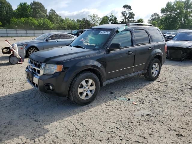 2011 Ford Escape Limited