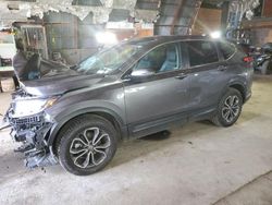 Salvage cars for sale at Albany, NY auction: 2020 Honda CR-V EXL