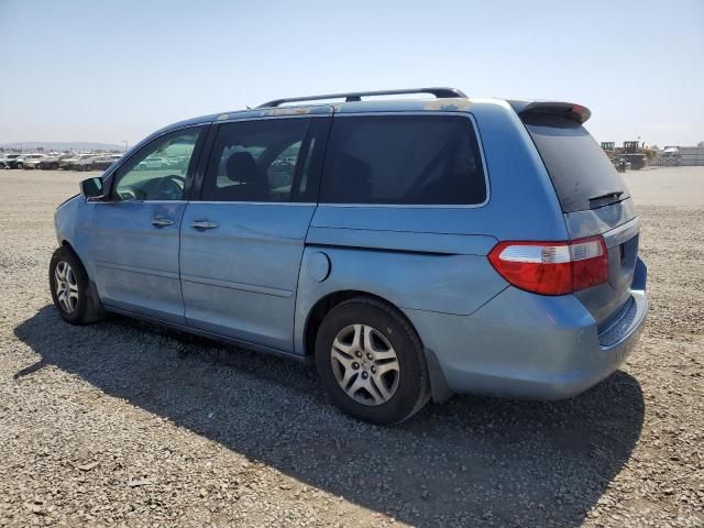 2005 Honda Odyssey EX