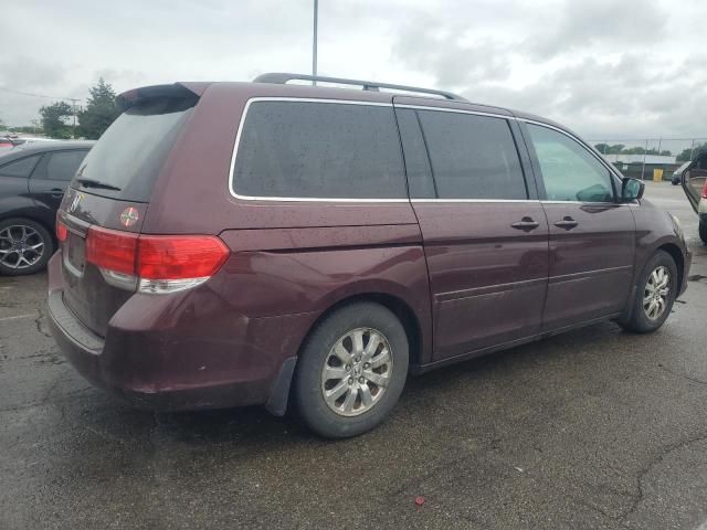 2010 Honda Odyssey EXL