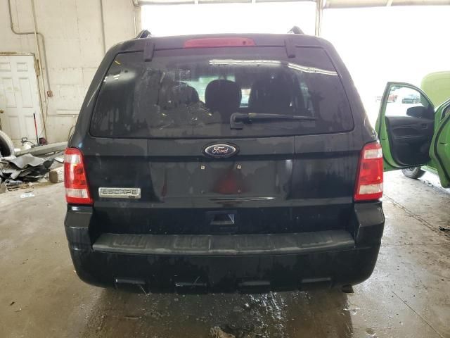 2010 Ford Escape XLT