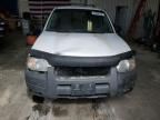 2004 Ford Escape XLT