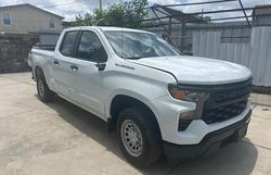 Salvage cars for sale at New Orleans, LA auction: 2023 Chevrolet Silverado C1500