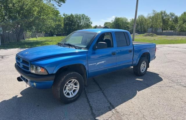 2001 Dodge Dakota Quattro