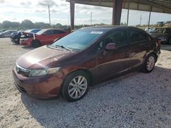 Salvage cars for sale at Homestead, FL auction: 2012 Honda Civic EX