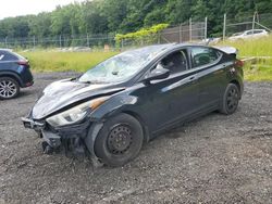 Carros salvage a la venta en subasta: 2016 Hyundai Elantra SE