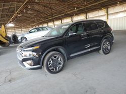 Salvage cars for sale at Phoenix, AZ auction: 2023 Hyundai Santa FE Limited
