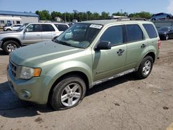 Ford Escape Hybrid salvage cars for sale: 2010 Ford Escape Hybrid