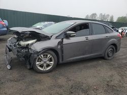 Salvage cars for sale at Finksburg, MD auction: 2013 Ford Focus SE