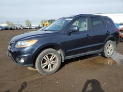 Hyundai Santa fe gls Vehiculos salvage en venta: 2011 Hyundai Santa FE GLS