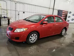 Salvage cars for sale at Avon, MN auction: 2010 Toyota Corolla Base