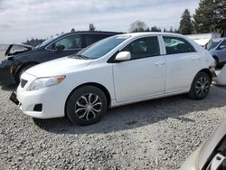 Salvage cars for sale from Copart Graham, WA: 2010 Toyota Corolla Base