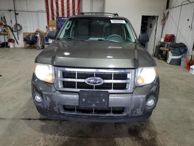 2009 Ford Escape XLT