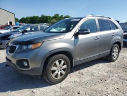 Salvage cars for sale at Lawrenceburg, KY auction: 2013 KIA Sorento LX