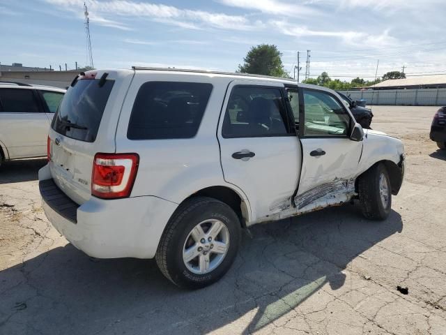 2011 Ford Escape Hybrid