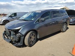 Salvage cars for sale at Brighton, CO auction: 2012 Honda Odyssey EXL