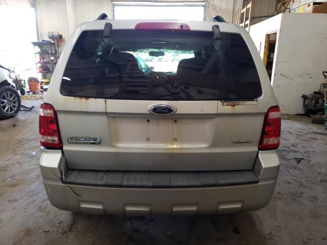 2008 Ford Escape XLT