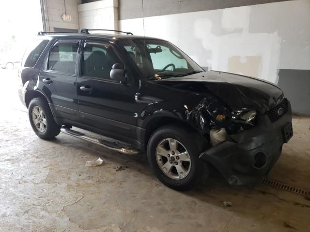 2005 Ford Escape XLT