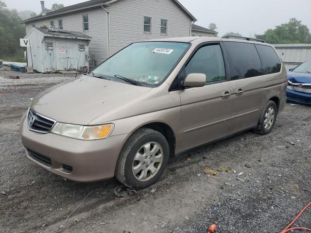 2004 Honda Odyssey EXL