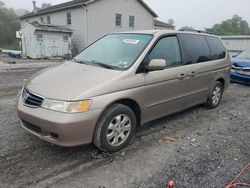 Salvage cars for sale at York Haven, PA auction: 2004 Honda Odyssey EXL