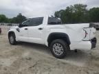 2024 Toyota Tundra Crewmax SR