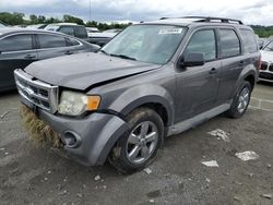 Salvage cars for sale at Cahokia Heights, IL auction: 2010 Ford Escape XLT