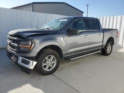 Ford F150 XLT salvage cars for sale: 2024 Ford F150 XLT